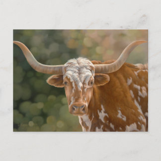 Cartão Postal Texas Longhorn