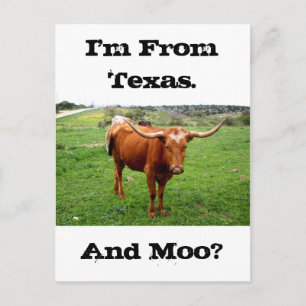 Cartão Postal Texas Longhorn com dizer engraçado de Texas