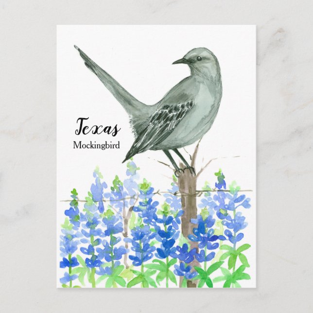 Cartão Postal Texas Mockingbird Bluebonnet Watercolor (Frente)