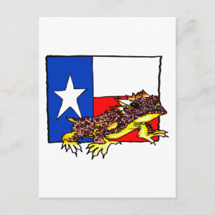 CARTÃO POSTAL TEXAS ROUBADAS