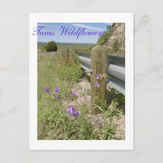 Cartão Postal Texas Wildflower