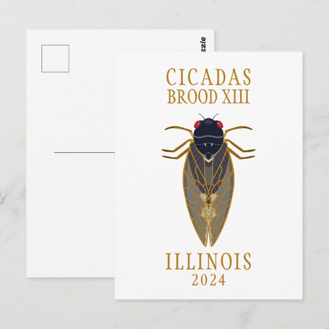 Cartão Postal Texto Personalizado de Cicada Brood XIII ILLINOIS  (Frente/Verso)