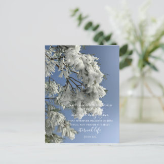 Cartão Postal Texto Personalizado do John 3:16 | Foto original d