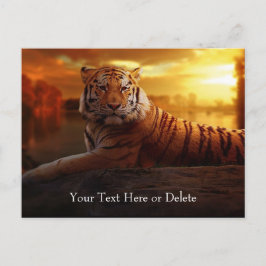 Cartão Postal Texto Personalizado Linda Tigre Laranja Selvagem L