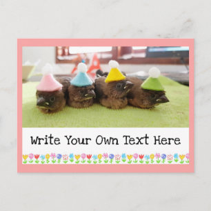 Cartão Postal Texto Personalizável Passarinho Bebê Cute Finch Pi
