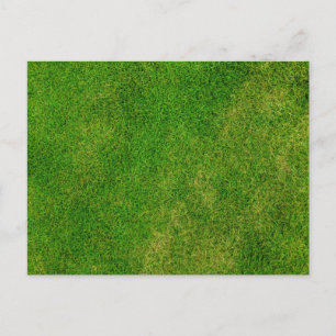 Cartão Postal Textura de grama verde