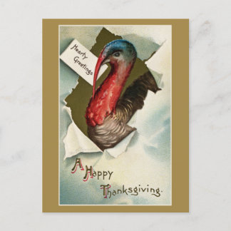 Cartão Postal  Thanksgiving turkey vintage art drawing