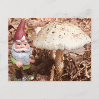 Cartão Postal The Forest Gnomo