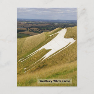 Cartão Postal The Horse