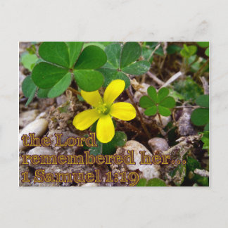 Cartão Postal The Lord Remembered Her Bible Verse Postcard