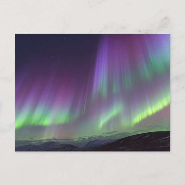 Cartão Postal The Northern Lights | North Iceland (Frente)