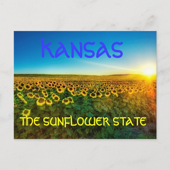 Cartão postal "The Sunflower State" do Kansas (Frente)