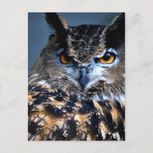 Cartão Postal The Wise One Postcard