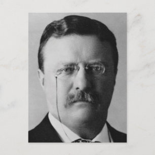 Cartão Postal Theodore Roosevelt