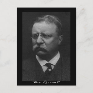Cartão Postal Theodore Roosevelt