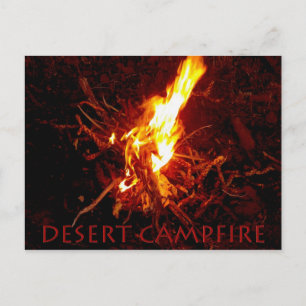 Cartão Postal Thieach.. Verdadeira Experiência Do Velho Oeste A