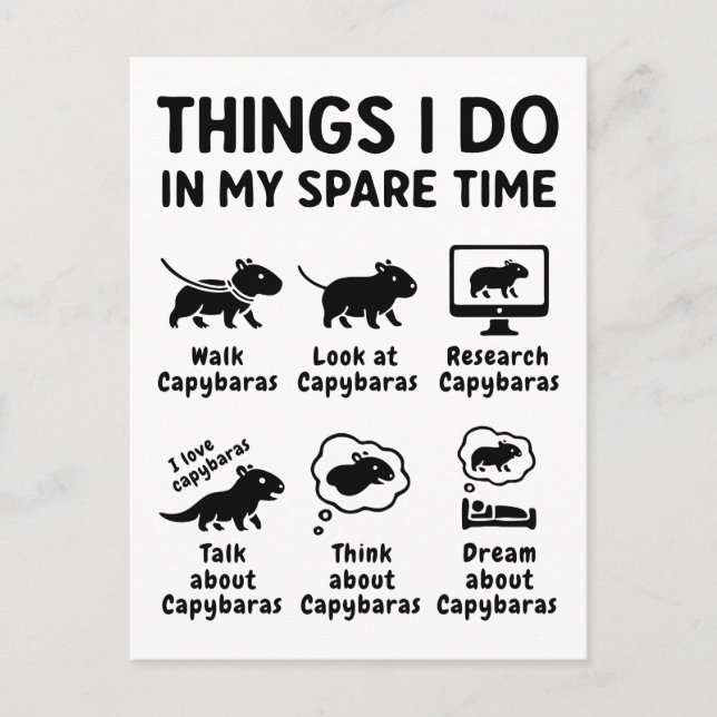 Cartão Postal Things I Do In My Spare Time Capybara Funny Pet (Frente)