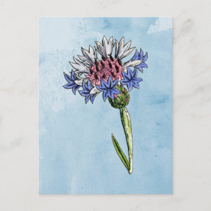 Cartão Postal Thistle Watercolor