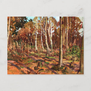 Cartão Postal Thomson - Vista do Parque Algonquin