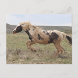 Cartão Postal Thor McCullough Peaks