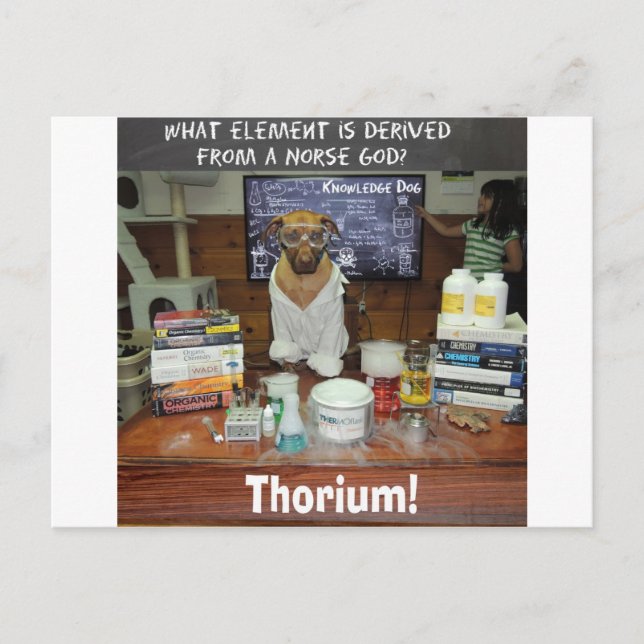 Cartão Postal Thorium Thor God of Thunder Knowledge Dog (Frente)