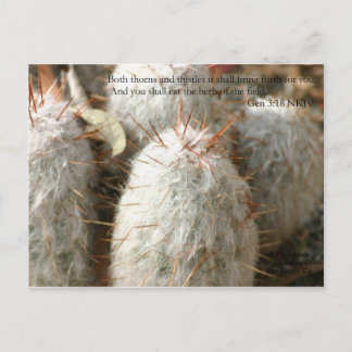 Cartão Postal Thorns