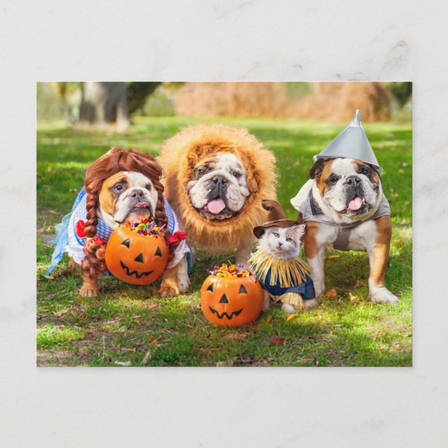 Cartão Postal Three Bulldogs in Costumes (Frente)