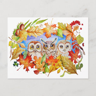 Cartão Postal three owls autumn