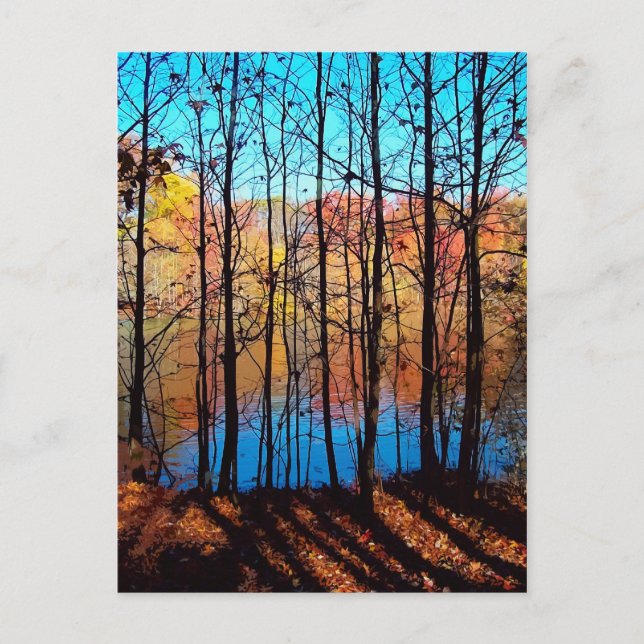 Cartão Postal Thru Trees (Frente)
