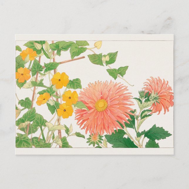 Cartão Postal Thunbergia, Aster da China por Tanigami Konan (Frente)