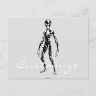 Cartão Postal Thunder_Cove da Alienígena OFO