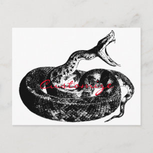 Cartão Postal Thunder_Cove da Cascavel