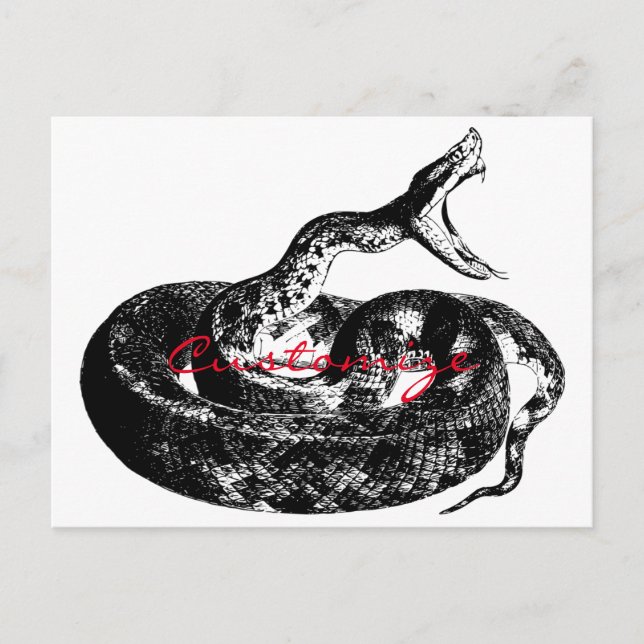 Cartão Postal Thunder_Cove da Cascavel (Frente)