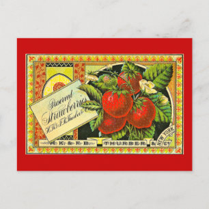 Cartão Postal Thurber Strawberry Vintage Rótulo de Crato Vintage