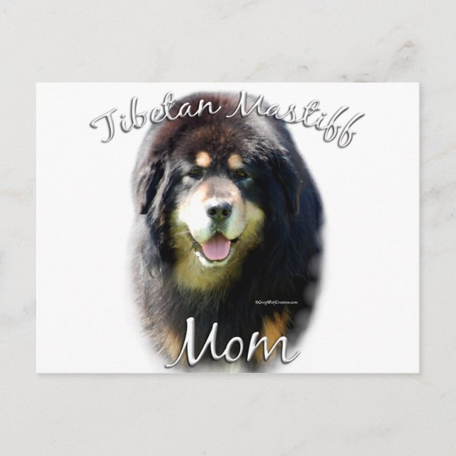 Cartão Postal Tibetan Mastiff Mãe 2 (Frente)