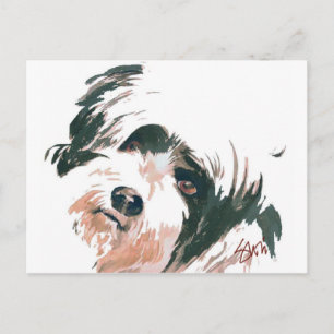 Cartão Postal Tibetan Terrier portrait