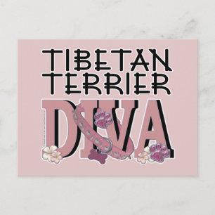 Cartão Postal Tibetano Terrier DIVA