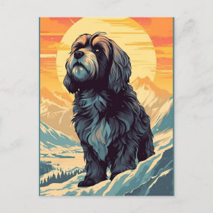 Cartão Postal Tibetano Terrier nas montes durante o pôr do sol