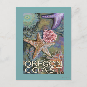 Cartão Postal Tidepool da Costa do Oregon
