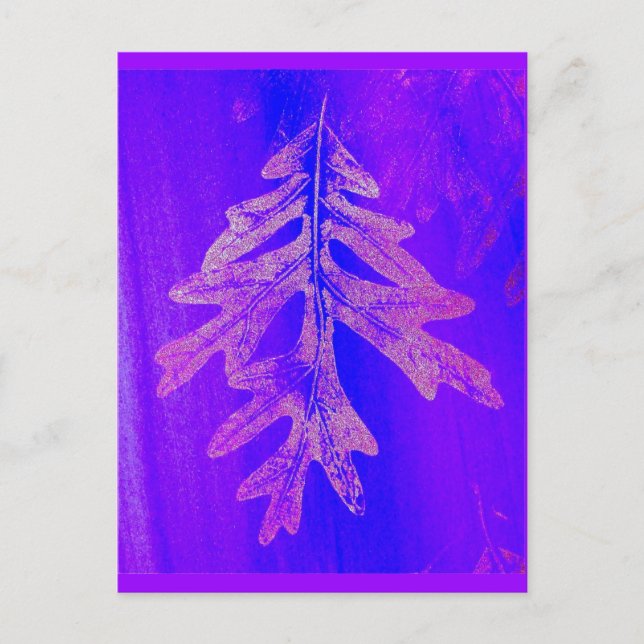 Cartão Postal Tiferet Sh'b'tiferet (Frente)