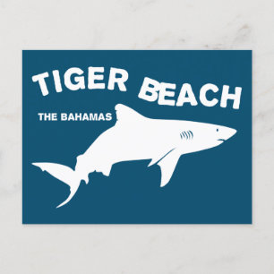 Cartão Postal Tiger Beach - Bahamas Mergulho Com Tubarões