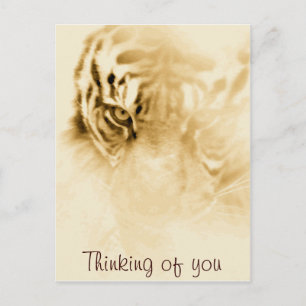 Cartão Postal ,Tiger Love_