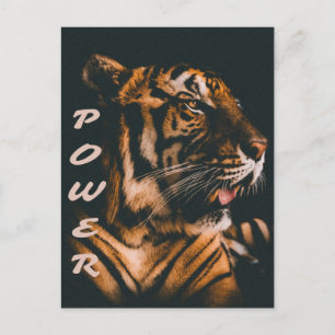 Cartão Postal Tiger Power Stripes Fierce Motivational