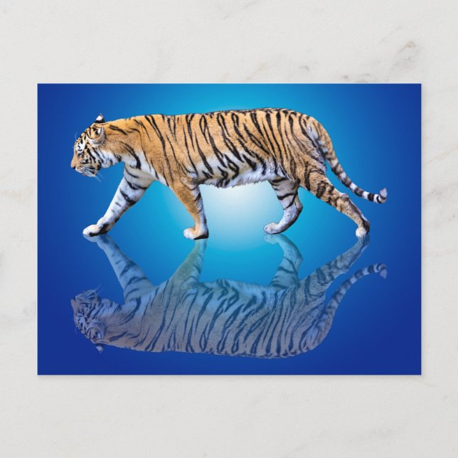 CARTÃO POSTAL TIGER REFLECTADO (Frente)