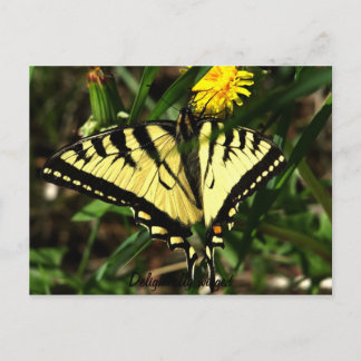 Cartão Postal Tiger Swallowtail deliciosamente ondulado