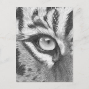 Cartão Postal Tigerauge - Bleistiftzeichnung