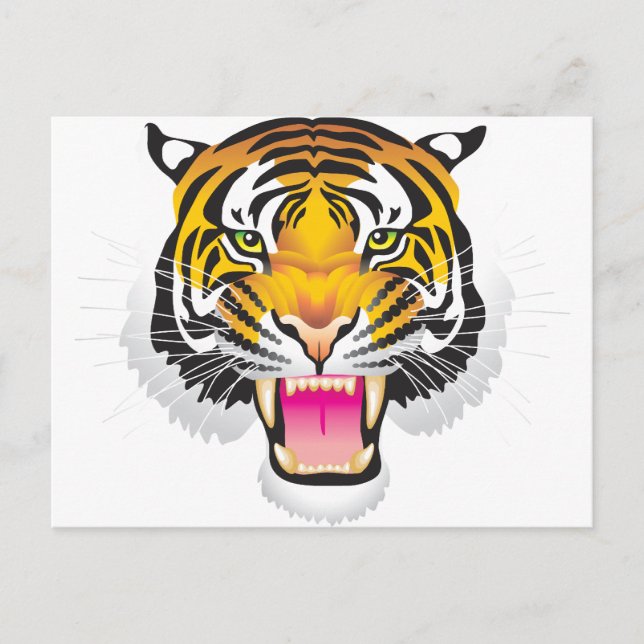 Cartão Postal Tigre (Frente)