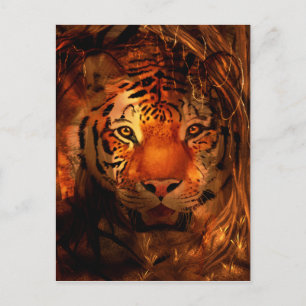 Cartão Postal Tigre