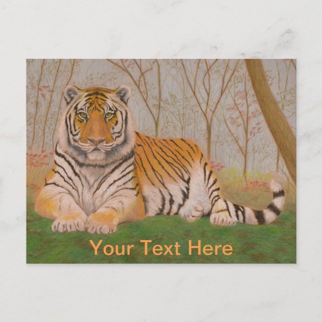 Cartão Postal Tigre (Frente)