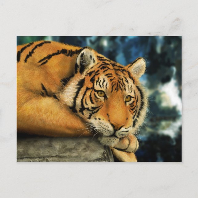 Cartão Postal Tigre (Frente)